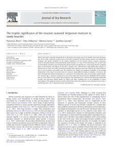 ﬁcance of the invasive seaweed Sargassum muticum in The trophic signi ⁎