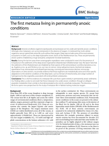 The first metazoa living in permanently anoxic conditions Open Access