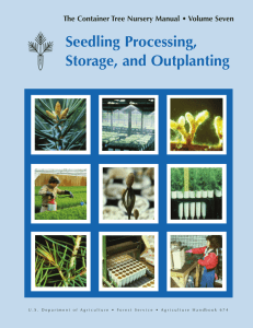 Seedling Processing, Storage, and Outplanting