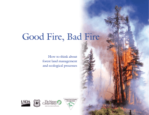 Good Fire, Bad Fire How to think about forest land management