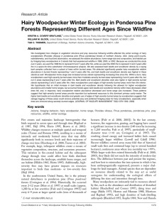 Hairy Woodpecker Winter Ecology in Ponderosa Pine Research Article