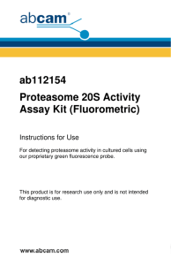 ab112154 Proteasome 20S Activity Assay Kit (Fluorometric)