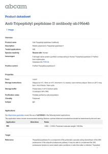 Anti-Tripeptidyl peptidase II antibody ab195645 Product datasheet 1 Image Overview