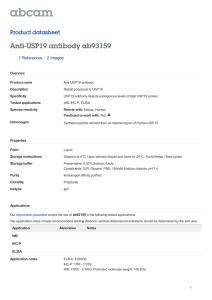 Anti-USP19 antibody ab93159 Product datasheet 1 References 2 Images