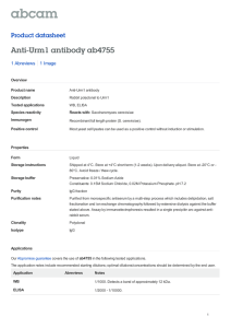 Anti-Urm1 antibody ab4755 Product datasheet 1 Abreviews 1 Image