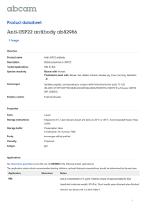 Anti-USP22 antibody ab82986 Product datasheet 1 Image