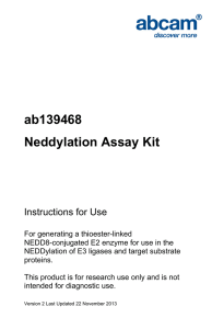 ab139468 Neddylation Assay Kit Instructions for Use