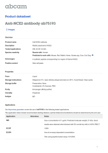 Anti-NCE2 antibody ab75193 Product datasheet 2 Images