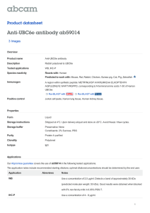 Anti-UBC6e antibody ab59014 Product datasheet 3 Images