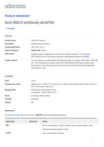 Anti-ISG15 antibody ab36765 Product datasheet 3 Images Overview