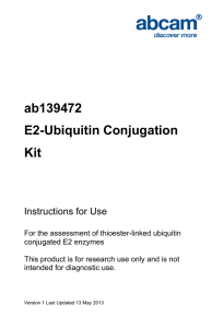 ab139472 E2-Ubiquitin Conjugation Kit Instructions for Use