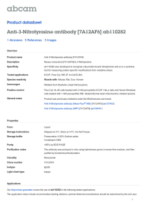 Anti-3-Nitrotyrosine antibody [7A12AF6] ab110282 Product datasheet 1 Abreviews 5 Images