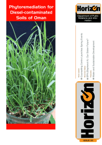 Phytoremediation for Diesel-contaminated Soils of Oman