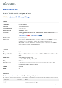 Anti-CBR1 antibody ab4148 Product datasheet 1 Abreviews 4 Images