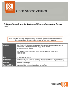 Collagen Network and the Mechanical Microenvironment of Cancer Cells