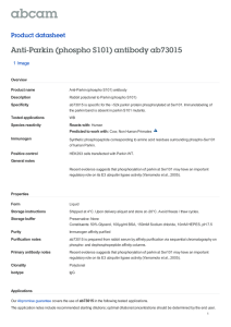 Anti-Parkin (phospho S101) antibody ab73015 Product datasheet 1 Image Overview