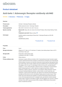 Anti-beta 1 Adrenergic Receptor antibody ab3442 Product datasheet 3 Abreviews 3 Images