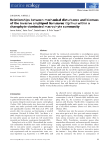 Relationships between mechanical disturbance and biomass