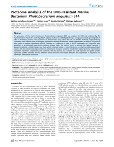 Photobacterium angustum Proteome Analysis of the UVB-Resistant Marine Bacterium S14