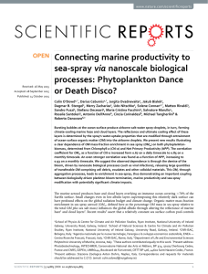 Connecting marine productivity to via processes: Phytoplankton Dance or Death Disco?