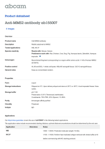 Anti-MMS2 antibody ab155007 Product datasheet 4 Images