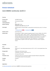 Anti-MMS2 antibody ab2513 Product datasheet