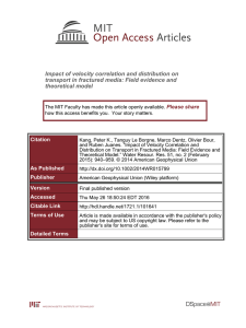 Impact of velocity correlation and distribution on theoretical model