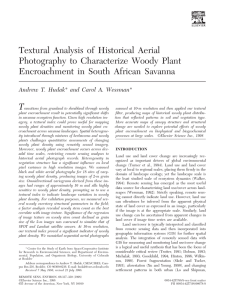 Textural Analysis of Historical Aerial Photography to Characterize Woody Plant