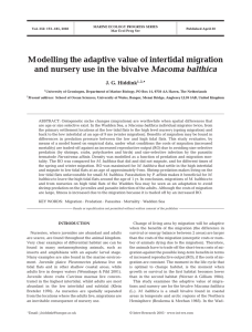 Modelling the adaptive value of intertidal migration Macoma balthica *