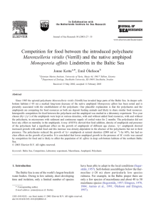 Competition for food between the introduced polychaete