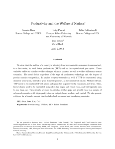 Productivity and the Welfare of Nations