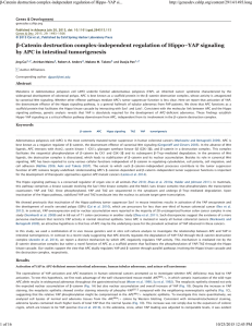 β-Catenin destruction complex-independent regulation of Hippo–YAP signaling