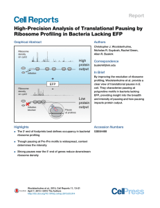 High-Precision Analysis of Translational Pausing by Report Graphical Abstract