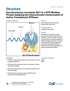 Saccharomyces cerevisiae Ski7 Is a GTP-Binding Active Translational GTPases