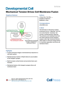 Mechanical Tension Drives Cell Membrane Fusion Article Graphical Abstract Authors
