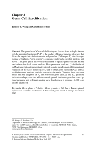 Germ  Cell  Speci fi cation Chapter  2