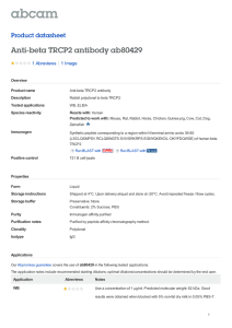 Anti-beta TRCP2 antibody ab80429 Product datasheet 1 Abreviews 1 Image