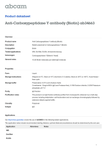 Anti-Carboxypeptidase Y antibody (Biotin) ab34663 Product datasheet Overview Product name