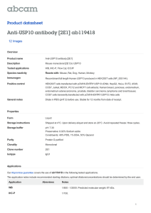 Anti-USP10 antibody [2E1] ab119418 Product datasheet 12 Images Overview