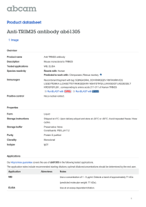 Anti-TRIM25 antibody ab61305 Product datasheet 1 Image