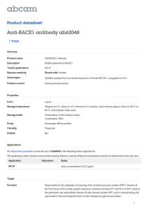 Anti-BACE1 antibody ab62048 Product datasheet 1 Image Overview