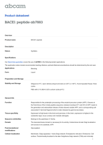 BACE1 peptide ab7883 Product datasheet Overview Product name