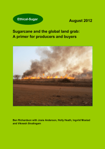 August 2012 Sugarcane and the global land grab: