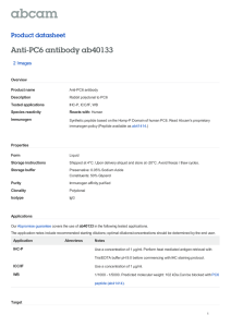 Anti-PC6 antibody ab40133 Product datasheet 2 Images Overview