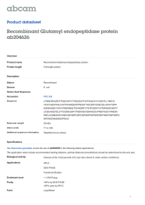 Recombinant Glutamyl endopeptidase protein ab204626 Product datasheet Overview