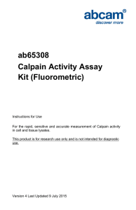ab65308 Calpain Activity Assay Kit (Fluorometric)