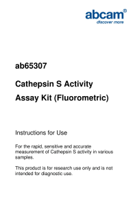 ab65307 Cathepsin S Activity Assay Kit (Fluorometric)