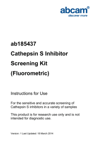 ab185437 Cathepsin S Inhibitor Screening Kit (Fluorometric)