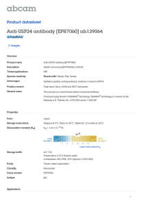 Anti-USP24 antibody [EPR7060] ab129064 Product datasheet 2 Images Overview