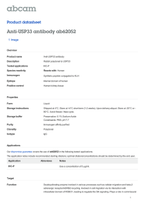 Anti-USP33 antibody ab62052 Product datasheet 1 Image Overview